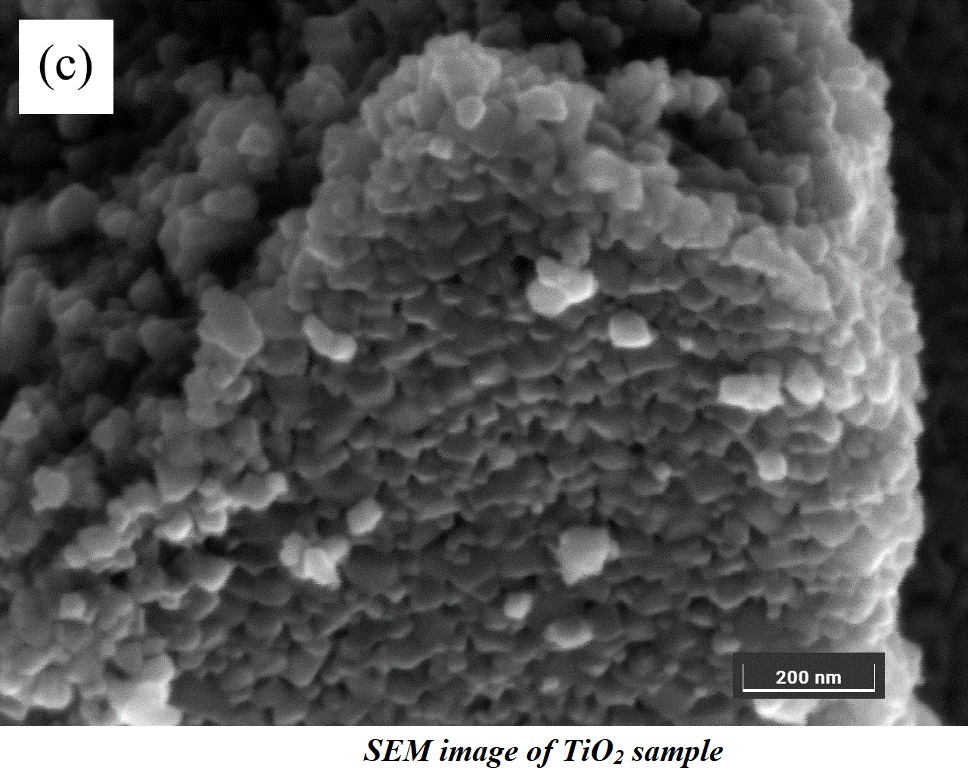 SEM Image