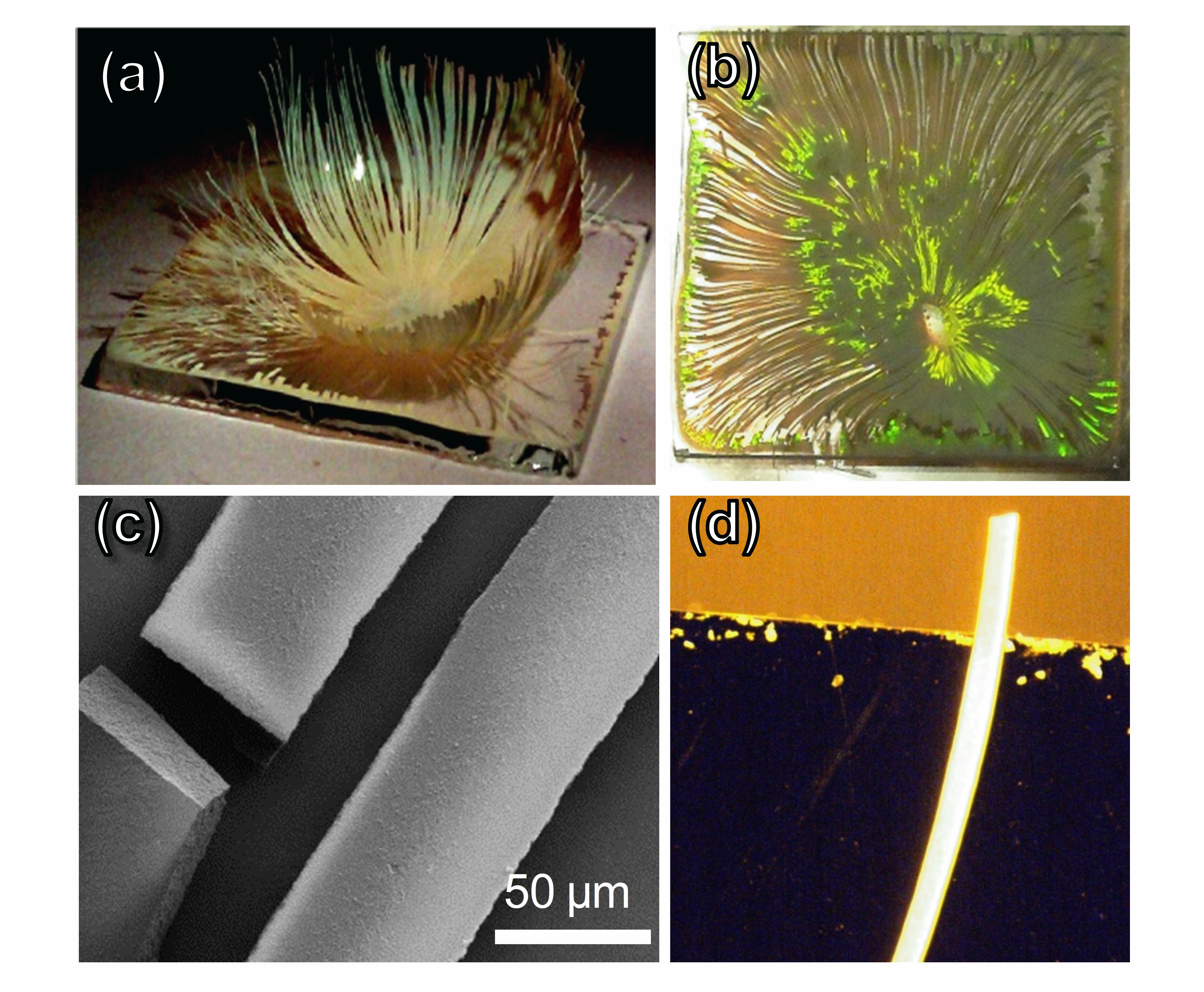 Ribbon structures